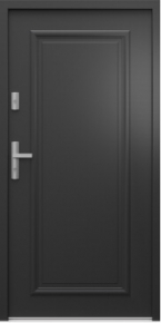 MODEL C1